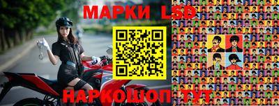 индика Гагарин